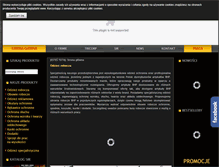 Tablet Screenshot of aml-gliwice.pl